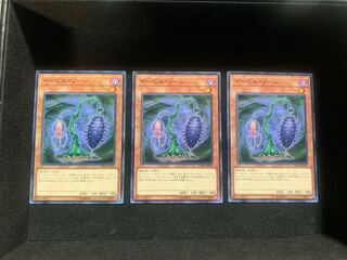 Evil Thorn Normal 3-card set