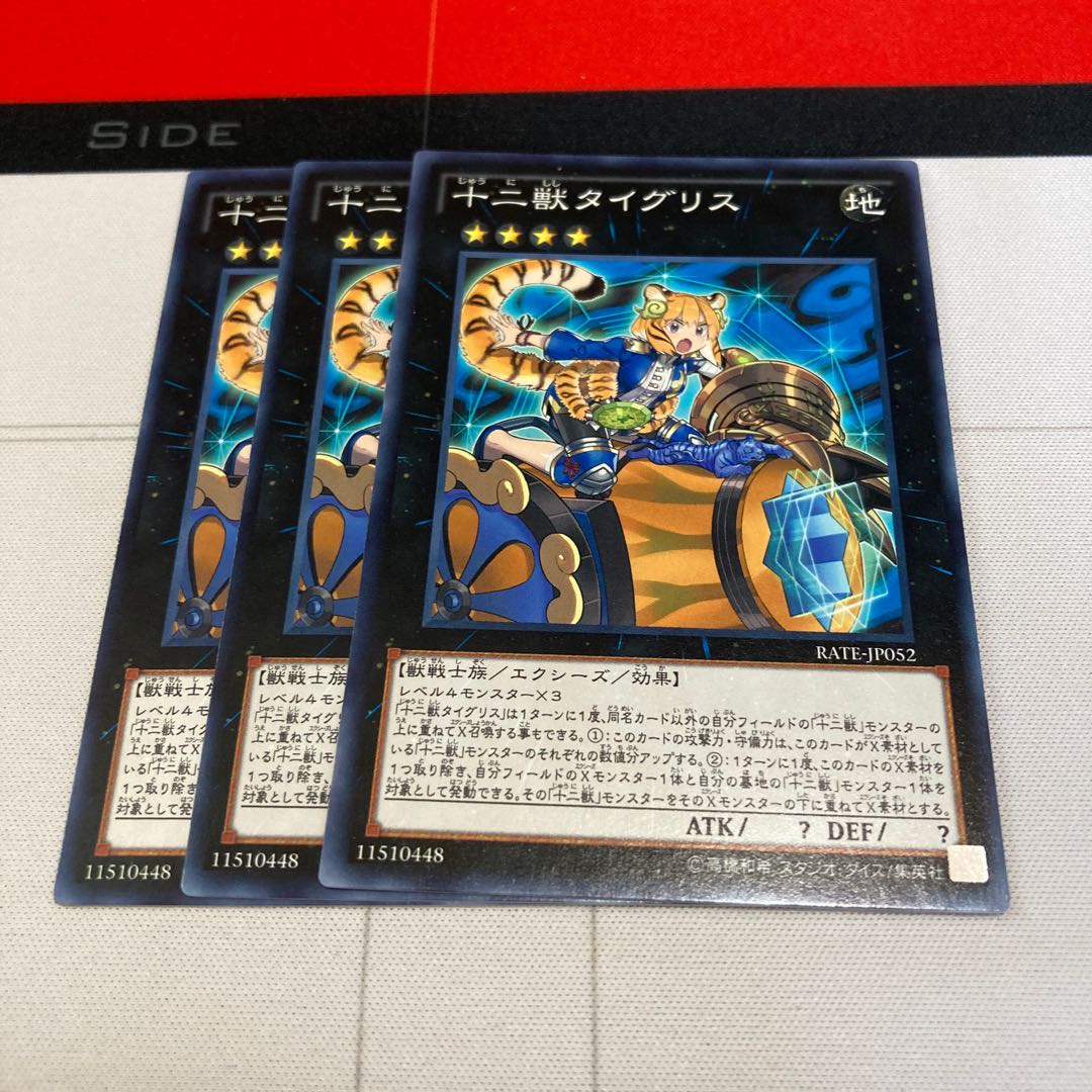 遊戯王 十二獣タイグリス ノーマル 3枚セット 特価品