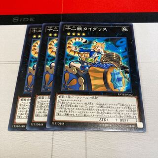 遊戯王　十二獣タイグリス ノーマル　3枚セット　特価品