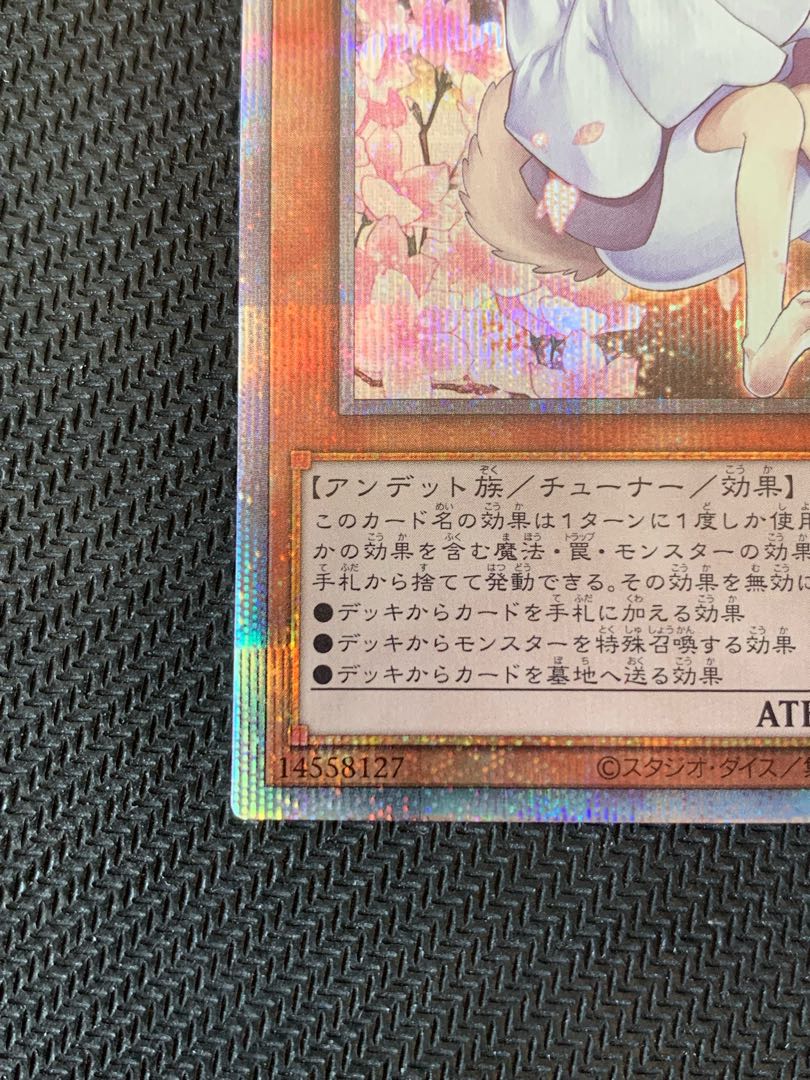 遊戯王 灰流うらら プリズマ 絵違い 5つ目個体