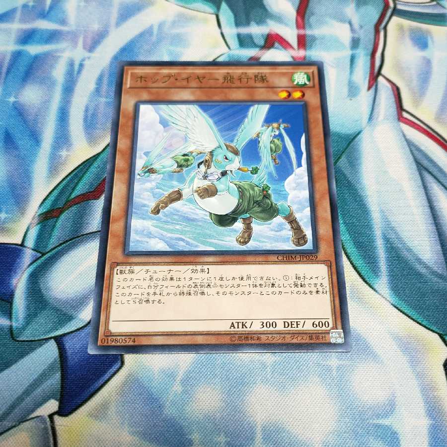 ホップ・イヤー飛行隊