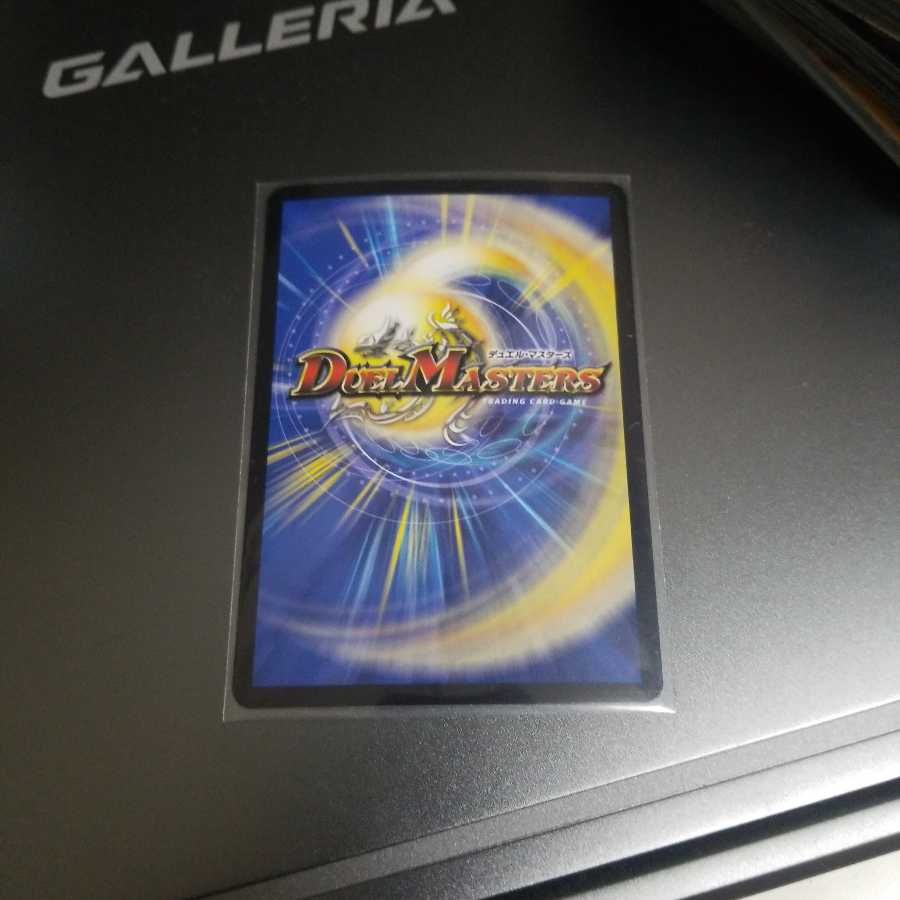 最安値龍風混成 ザーディクリカ