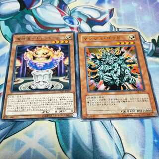 儀式サポート 1枚