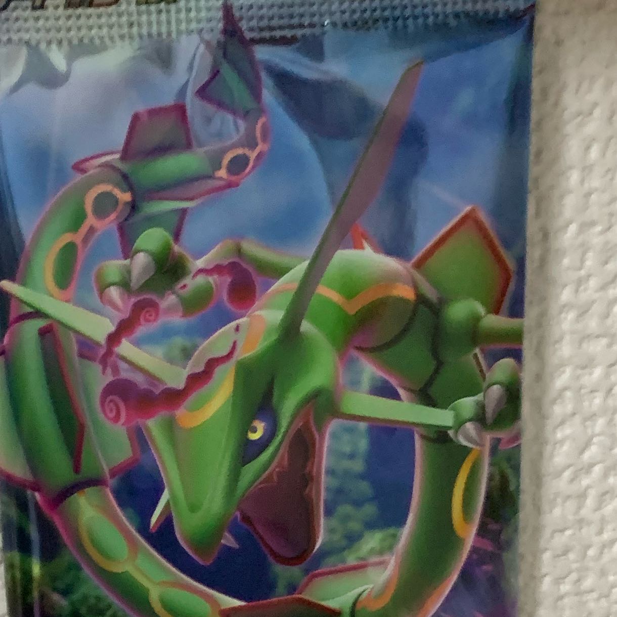 ワタッコ 2枚募集