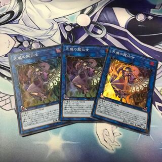 Shaman of the Tenyi Super Rare