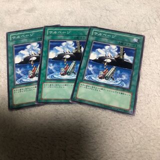 【もふもふ】サルベージ