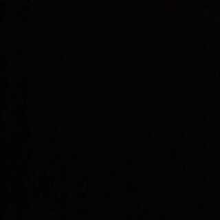 専用 ライゾウ＆リンクウッド