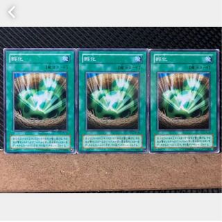 【ぽぽたん】遊戯王 2546 孵化 3枚 ノーマル