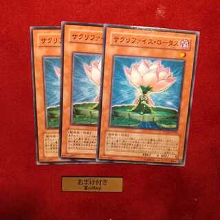 サクリファイス・ロータス ノーマル