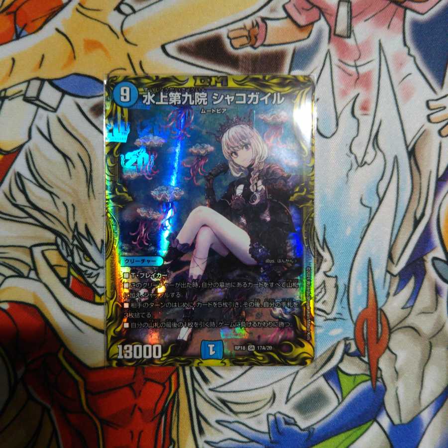 水上第九院 シャコガイル