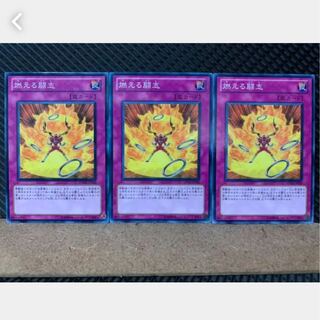 [Popotan] Yu-Gi-Oh! 2468 Fiery Fervor 3 cards Normal
