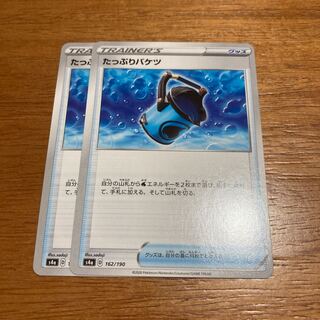 たっぷりバケツ2枚