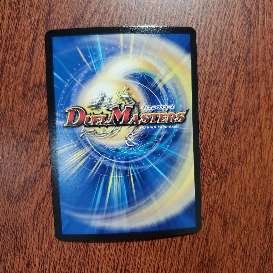 サッヴァークDG