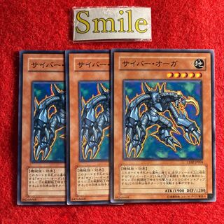 サイバー・オーガ#860