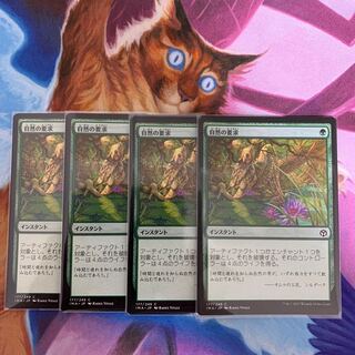 Nature's Claim Japanese 4 copies (3)