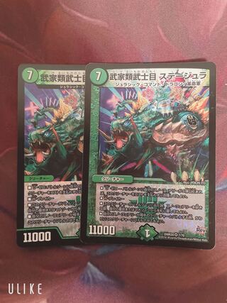 武家類武士目 ステージュラ