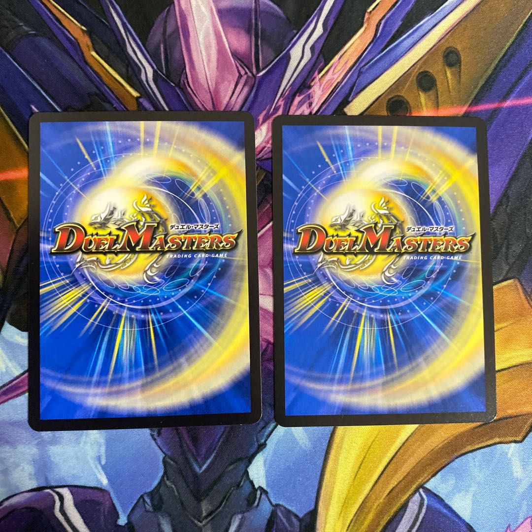 麗泳者 マツバメモノ　2枚セット