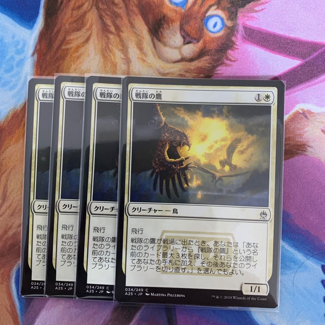 戦隊の鷹 日本語 4枚①