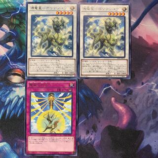 源竜星-ボウテンコウ 竜星の九支 3枚セット