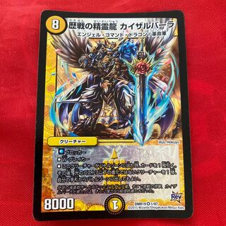 歴戦の精霊龍 カイザルバーラ