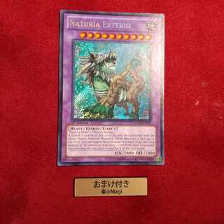 Naturia Exterio English Secret Rare