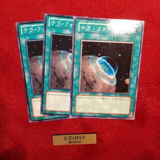 テラ・フォーミング ノーマル