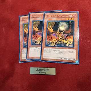 ローンファイア・ブロッサム ノーマル