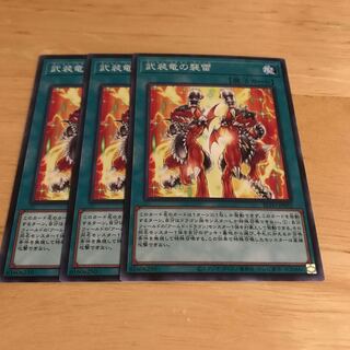 武装竜の襲雷 ノーマル　Hulu