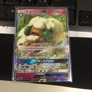 専用　エルフーン GX RR　とアカネ　SR