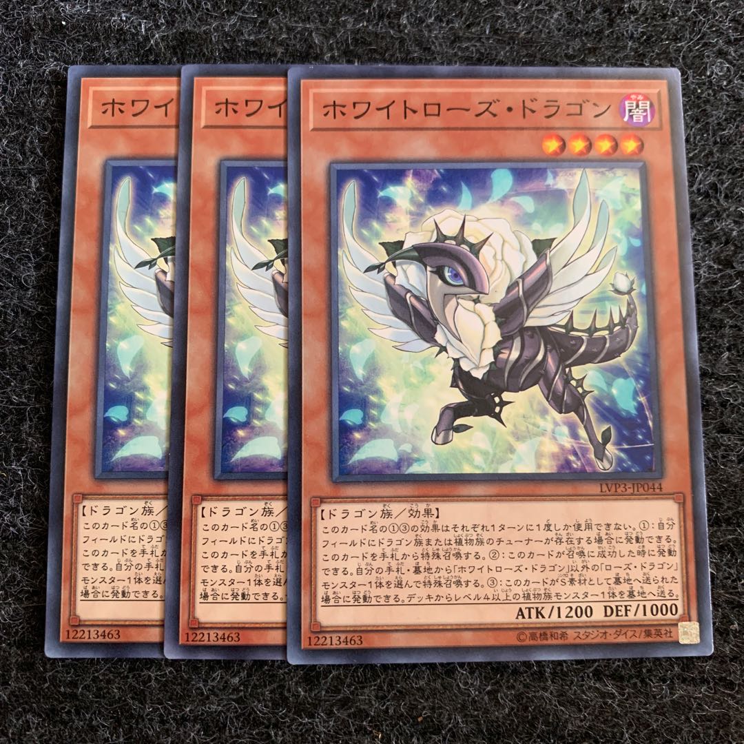 White Rose Dragon Normal