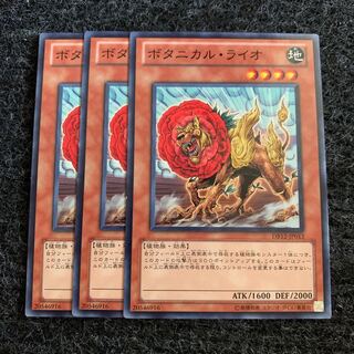 ボタニカル・ライオ ノーマル