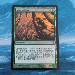 MTG foil Lead the Stampede