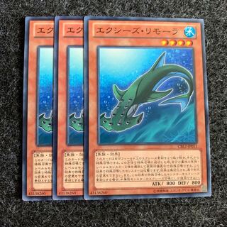 エクシーズ・リモーラ ノーマル