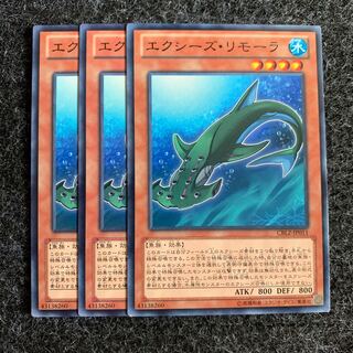 エクシーズ・リモーラ ノーマル