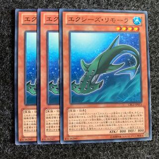 エクシーズ・リモーラ ノーマル