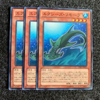 エクシーズ・リモーラ ノーマル