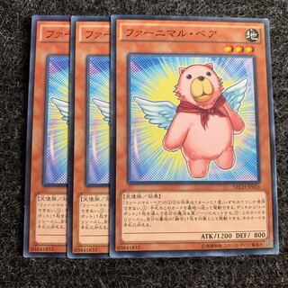 ファーニマル・ベア ノーマル