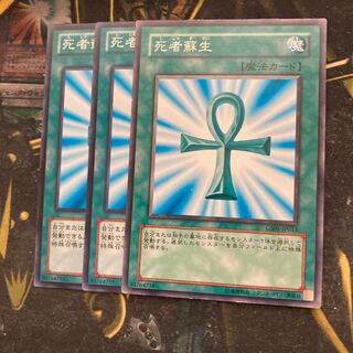 マドレース6204死者蘇生 ノーマル