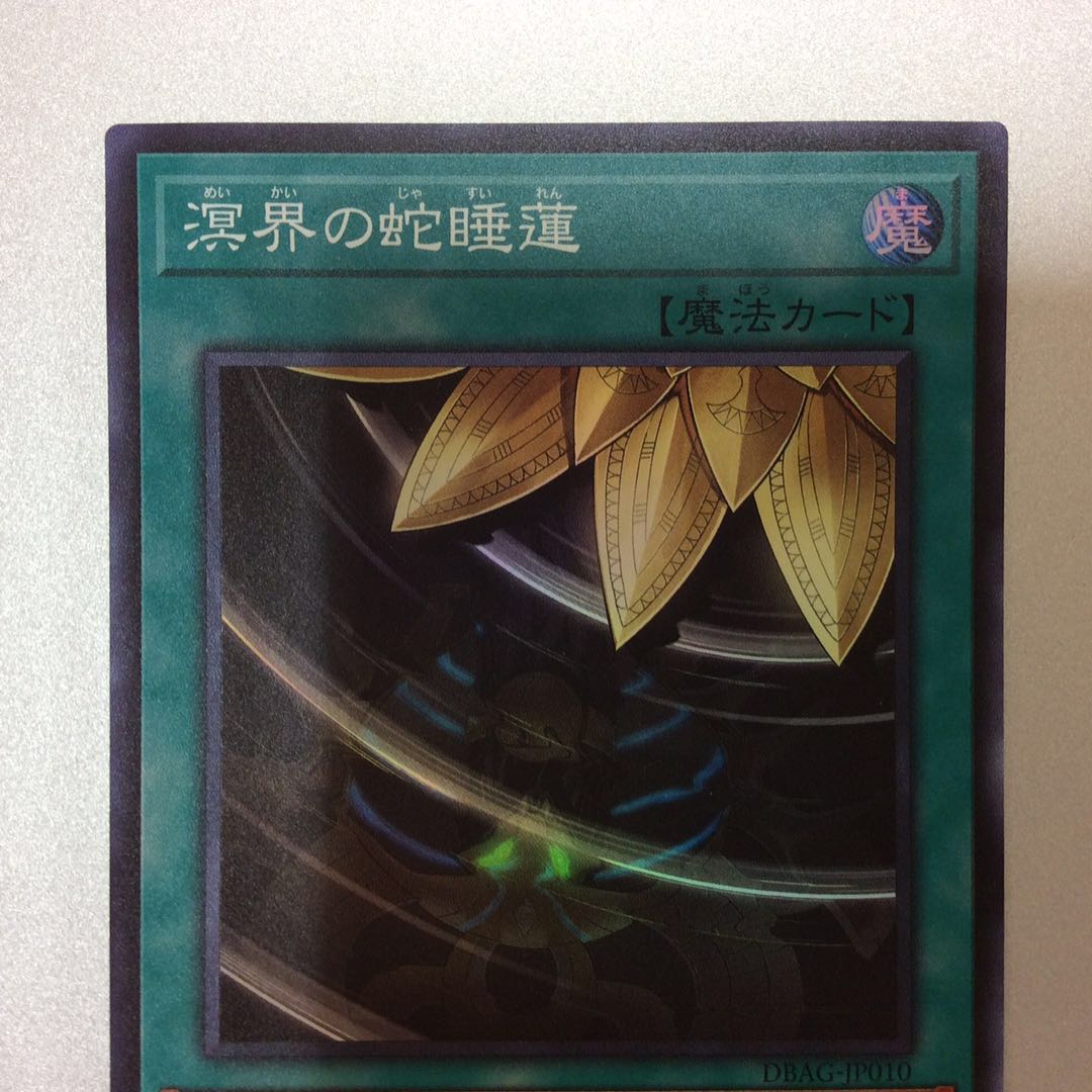 （美品）溟界の蛇睡蓮