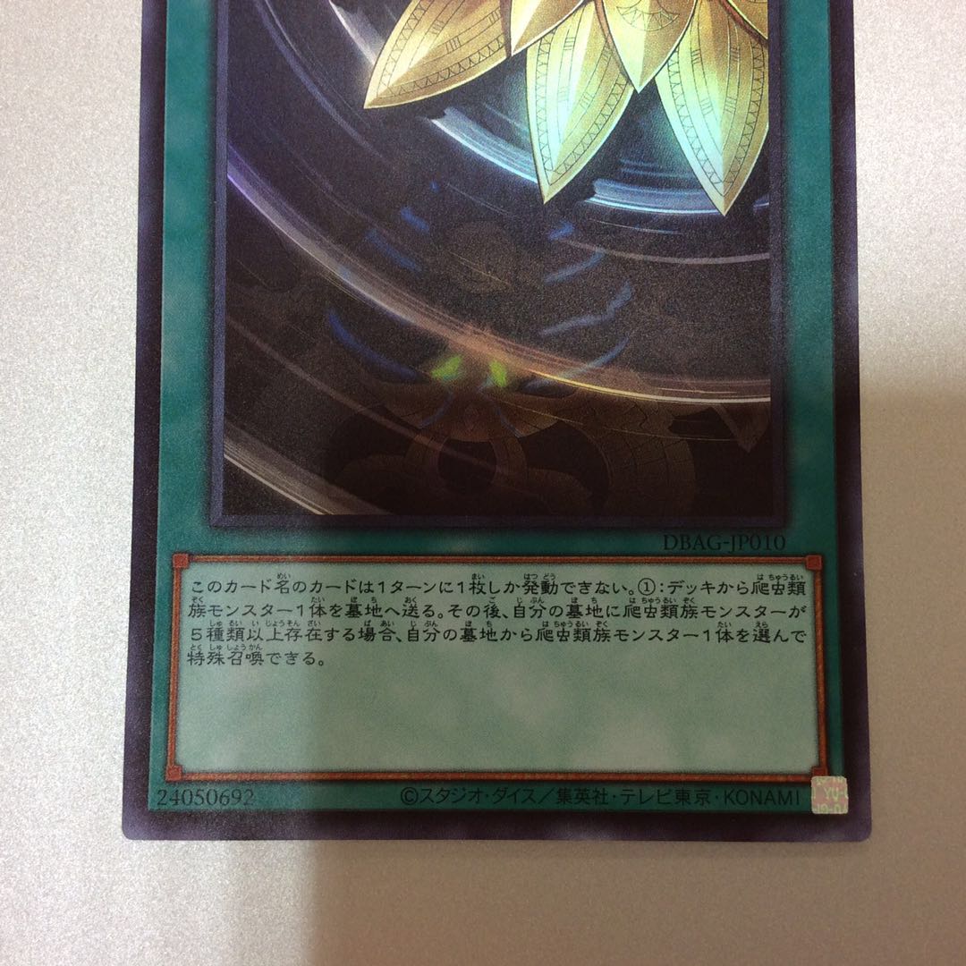 （美品）溟界の蛇睡蓮