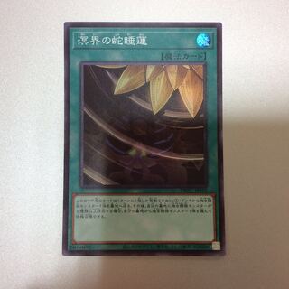 （微キズ）溟界の蛇睡蓮　スーパーレア