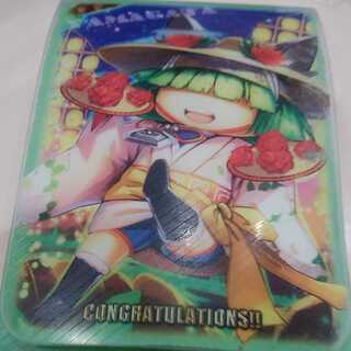 フェアリーライフデッキケース