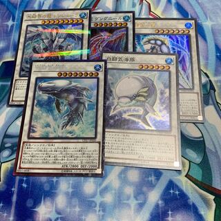 White Aura Whale Collector's Rare