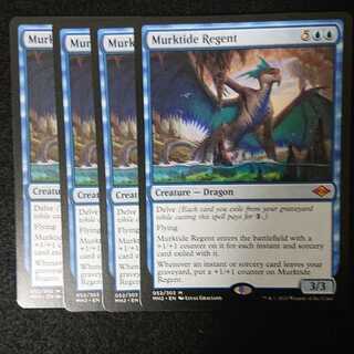 濁浪の執政 4枚