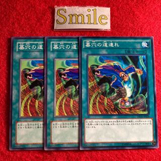 墓穴の道連れ#921