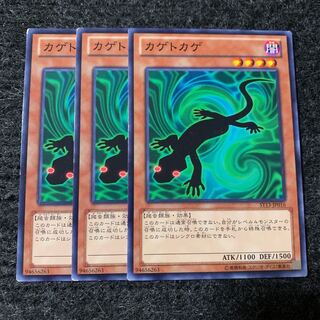 カゲトカゲ ノーマル