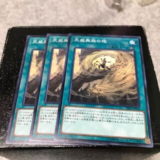 天威無崩の地 ノーマル3枚