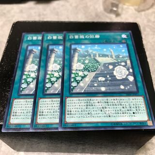 白薔薇の回廊 ノーマル3枚