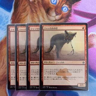 Jackal Pup Japanese 4 pieces 4枚