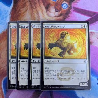 白たてがみのライオン　日本語　4枚②